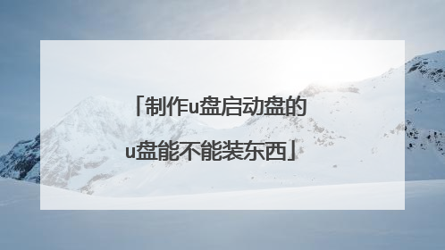 制作u盘启动盘的u盘能不能装东西