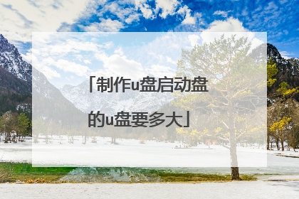 制作u盘启动盘的u盘要多大