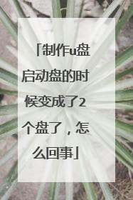 制作u盘启动盘的时候变成了2个盘了，怎么回事
