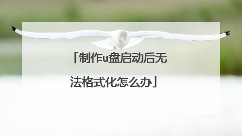 制作u盘启动后无法格式化怎么办