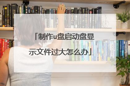 制作u盘启动盘显示文件过大怎么办