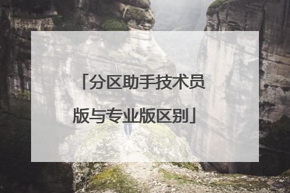 分区助手技术员版与专业版区别