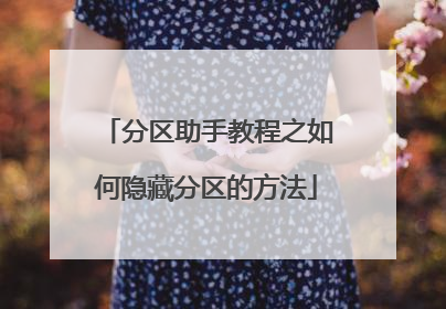 分区助手教程之如何隐藏分区的方法