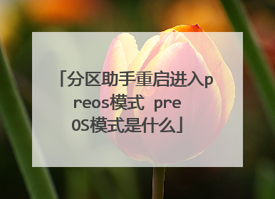 分区助手重启进入preos模式 preOS模式是什么