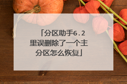 分区助手6.2里误删除了一个主分区怎么恢复