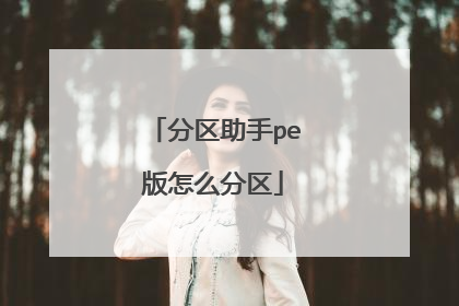 分区助手pe版怎么分区