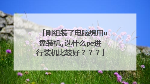 刚组装了电脑想用u盘装机,选什么pe进行装机比较好？？？