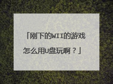 刚下的WII的游戏怎么用U盘玩啊?