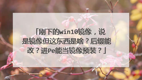刚下的win10镜像,说是镜像但这东西是啥?后缀能改?进Pe能当镜像预装?