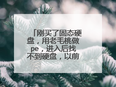 刚买了固态硬盘,用老毛桃做pe,进入后找不到硬盘,以前那个都找不到