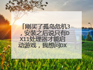 刚买了孤岛危机3,安装之后说只有DX11处理器才能启动游戏,我想问DX11下载安装,里面的路径到底