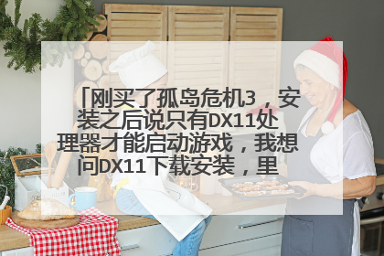 刚买了孤岛危机3,安装之后说只有DX11处理器才能启动游戏,我想问DX11下载安装,里面的路径到底