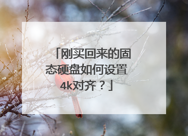 刚买回来的固态硬盘如何设置4k对齐?