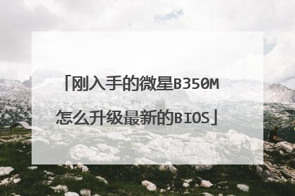 刚入手的微星B350M 怎么升级最新的BIOS