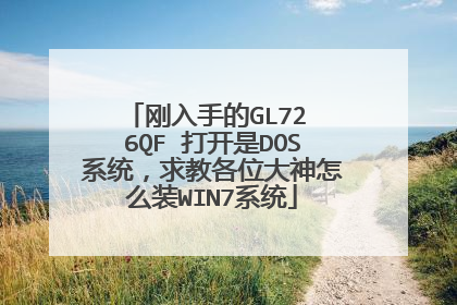 刚入手的GL72 6QF 打开是DOS系统,求教各位大神怎么装WIN7系统
