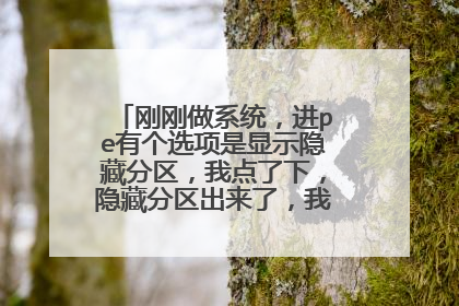 刚刚做系统,进pe有个选项是显示隐藏分区,我点了下,隐藏分区出来了,我做完系统发现,我的电脑多一个盘符