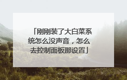 刚刚装了大白菜系统怎么没声音,怎么去控制面板那设置