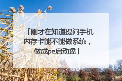 刚才在知道提问手机内存卡能不能做系统,做成pe启动盘