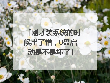 刚才装系统的时候出了错，U盘启动是不是坏了