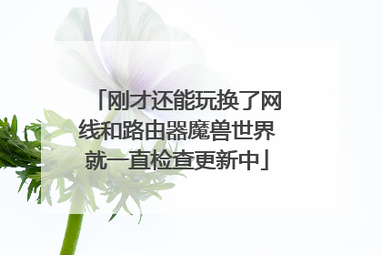 刚才还能玩换了网线和路由器魔兽世界就一直检查更新中