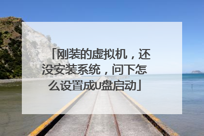 刚装的虚拟机，还没安装系统，问下怎么设置成U盘启动