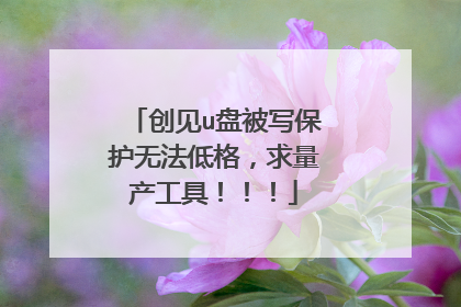 创见u盘被写保护无法低格,求量产工具!!!