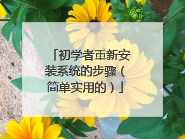 初学者重新安装系统的步骤(简单实用的)
