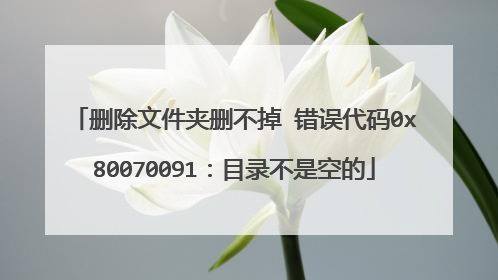 删除文件夹删不掉 错误代码0x80070091:目录不是空的