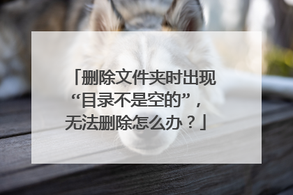 删除文件夹时出现“目录不是空的”,无法删除怎么办?