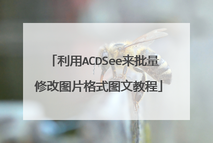 利用ACDSee来批量修改图片格式图文教程