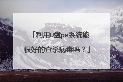 利用U盘pe系统能很好的查杀病毒吗?