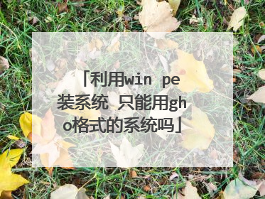 利用win pe装系统 只能用gho格式的系统吗