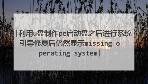 利用u盘制作pe启动盘之后进行系统引导修复后仍然显示missing operating system