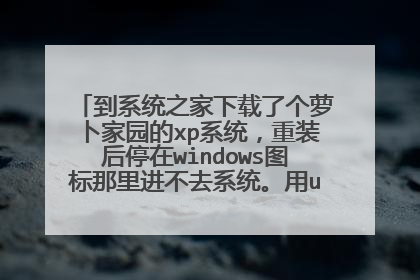 到系统之家下载了个萝卜家园的xp系统,重装后停在windows图标那里进不去系统。用u盘老毛桃重装