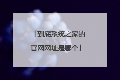 到底系统之家的官网网址是哪个