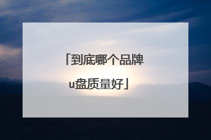 到底哪个品牌u盘质量好