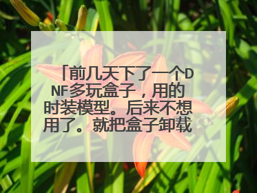 前几天下了一个DNF多玩盒子,用的时装模型。后来不想用了。就把盒子卸载了、可是时装还是有怎么办。