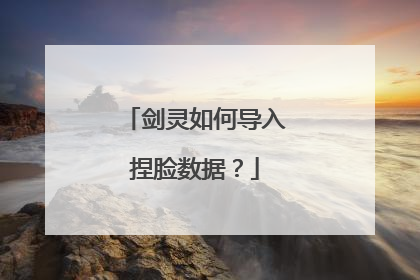 剑灵如何导入捏脸数据?