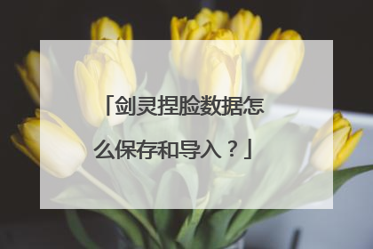剑灵捏脸数据怎么保存和导入?