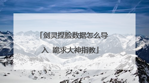 剑灵捏脸数据怎么导入 跪求大神指教