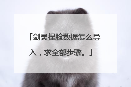 剑灵捏脸数据怎么导入,求全部步骤。