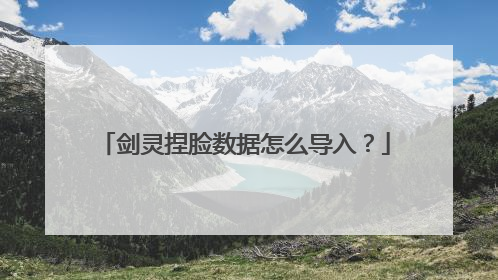 剑灵捏脸数据怎么导入?