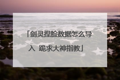 剑灵捏脸数据怎么导入 跪求大神指教