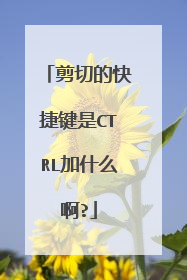 剪切的快捷键是CTRL加什么啊?