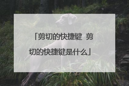 剪切的快捷键 剪切的快捷键是什么
