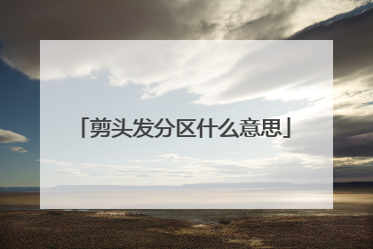 剪头发分区什么意思