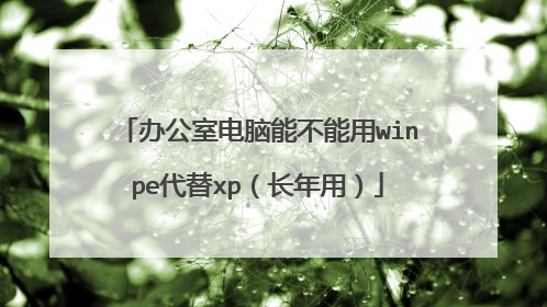 办公室电脑能不能用winpe代替xp（长年用）