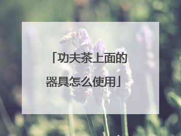 功夫茶上面的器具怎么使用