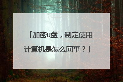 加密U盘,制定使用计算机是怎么回事?