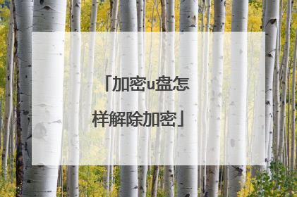 加密u盘怎样解除加密